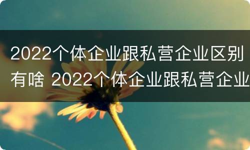 2022个体企业跟私营企业区别有啥 2022个体企业跟私营企业区别有啥不一样