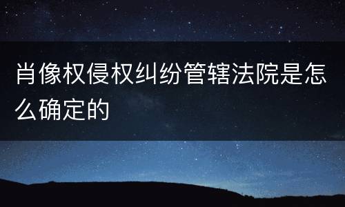 肖像权侵权纠纷管辖法院是怎么确定的