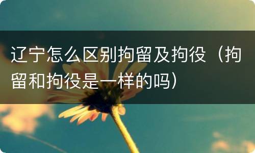 辽宁怎么区别拘留及拘役(拘留和拘役是一样的吗)