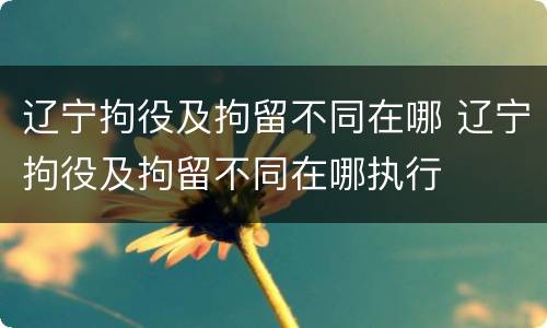 辽宁拘役及拘留不同在哪 辽宁拘役及拘留不同在哪执行