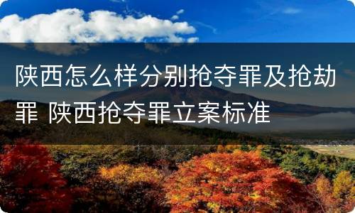 陕西怎么样分别抢夺罪及抢劫罪 陕西抢夺罪立案标准