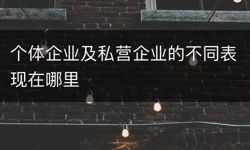 个体企业及私营企业的不同表现在哪里