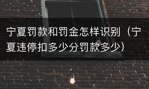 宁夏罚款和罚金怎样识别（宁夏违停扣多少分罚款多少）