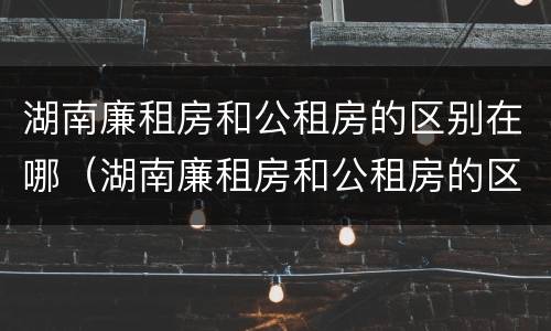 湖南廉租房和公租房的区别在哪（湖南廉租房和公租房的区别在哪儿）