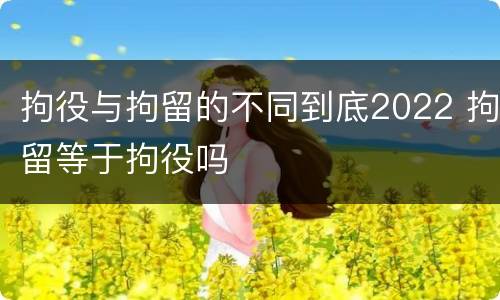 拘役与拘留的不同到底2022 拘留等于拘役吗