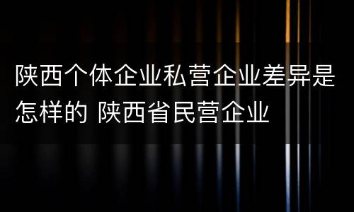 陕西个体企业私营企业差异是怎样的 陕西省民营企业
