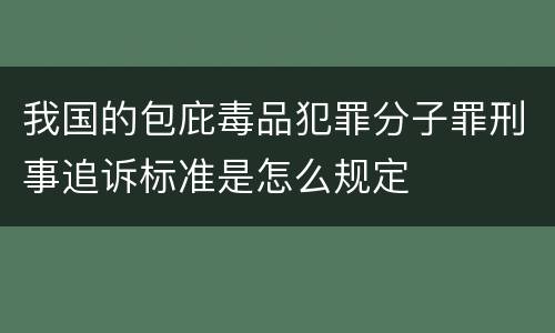我国的包庇毒品犯罪分子罪刑事追诉标准是怎么规定