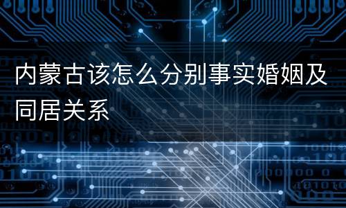 内蒙古该怎么分别事实婚姻及同居关系