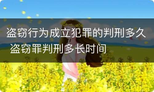 盗窃行为成立犯罪的判刑多久 盗窃罪判刑多长时间