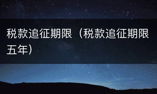 税款追征期限（税款追征期限五年）