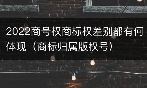 2022商号权商标权差别都有何体现（商标归属版权号）