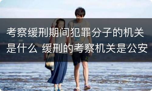 考察缓刑期间犯罪分子的机关是什么 缓刑的考察机关是公安机关