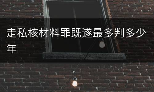 走私核材料罪既遂最多判多少年