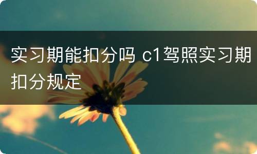 实习期能扣分吗 c1驾照实习期扣分规定