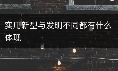 实用新型与发明不同都有什么体现