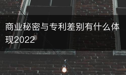 商业秘密与专利差别有什么体现2022