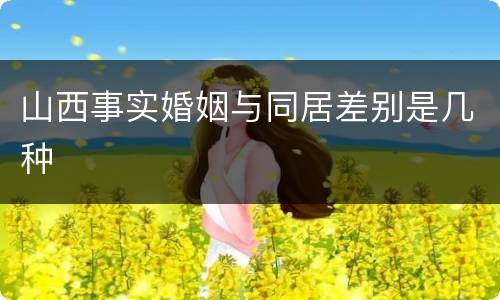 山西事实婚姻与同居差别是几种