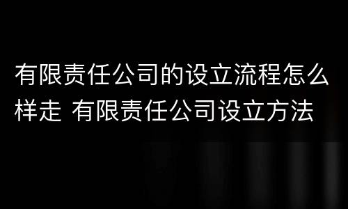 有限责任公司的设立流程怎么样走 有限责任公司设立方法