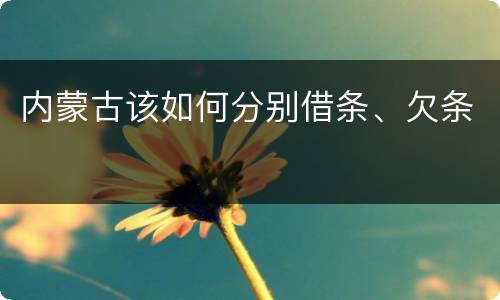 内蒙古该如何分别借条、欠条