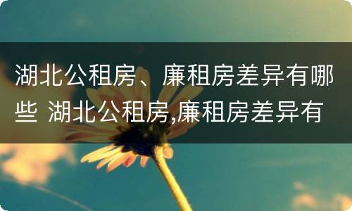 湖北公租房、廉租房差异有哪些 湖北公租房,廉租房差异有哪些原因