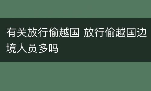 有关放行偷越国 放行偷越国边境人员多吗
