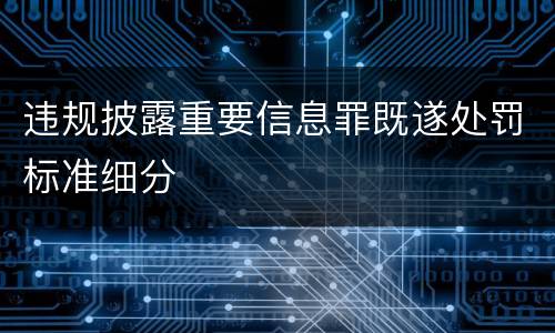 违规披露重要信息罪既遂处罚标准细分