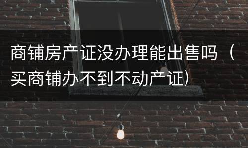 商铺房产证没办理能出售吗（买商铺办不到不动产证）