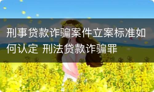 刑事贷款诈骗案件立案标准如何认定 刑法贷款诈骗罪