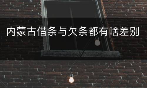 内蒙古借条与欠条都有啥差别