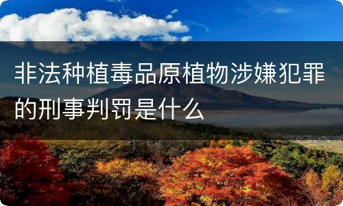 非法种植毒品原植物涉嫌犯罪的刑事判罚是什么