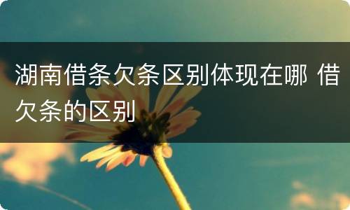 湖南借条欠条区别体现在哪 借欠条的区别