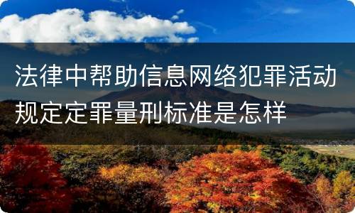 法律中帮助信息网络犯罪活动规定定罪量刑标准是怎样