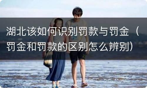 湖北该如何识别罚款与罚金（罚金和罚款的区别怎么辨别）