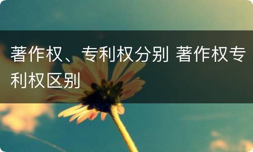 著作权、专利权分别 著作权专利权区别