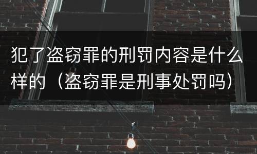 犯了盗窃罪的刑罚内容是什么样的（盗窃罪是刑事处罚吗）