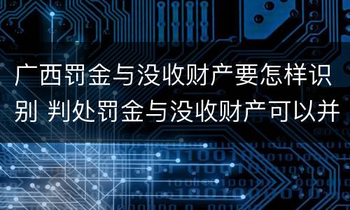 广西罚金与没收财产要怎样识别 判处罚金与没收财产可以并罚吗