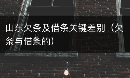 山东欠条及借条关键差别（欠条与借条的）