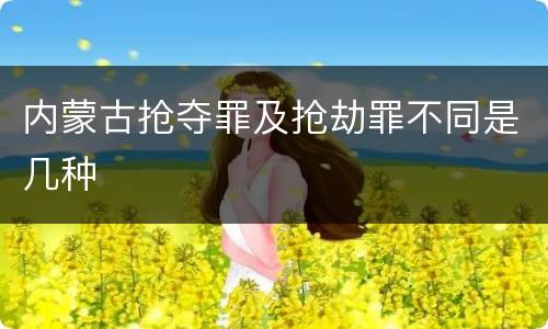 内蒙古抢夺罪及抢劫罪不同是几种