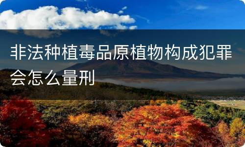 非法种植毒品原植物构成犯罪会怎么量刑
