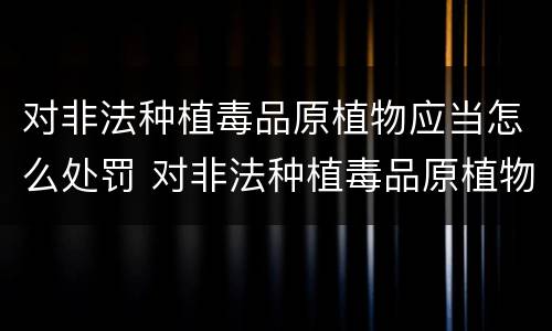 对非法种植毒品原植物应当怎么处罚 对非法种植毒品原植物的政府应采取什么措施
