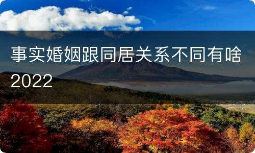 事实婚姻跟同居关系不同有啥2022