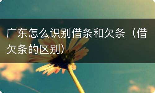 广东怎么识别借条和欠条(借欠条的区别)