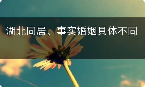湖北同居、事实婚姻具体不同