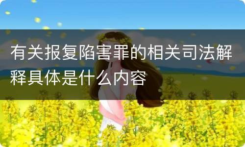 有关报复陷害罪的相关司法解释具体是什么内容