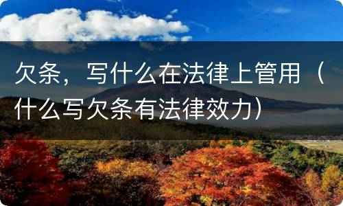 欠条，写什么在法律上管用（什么写欠条有法律效力）