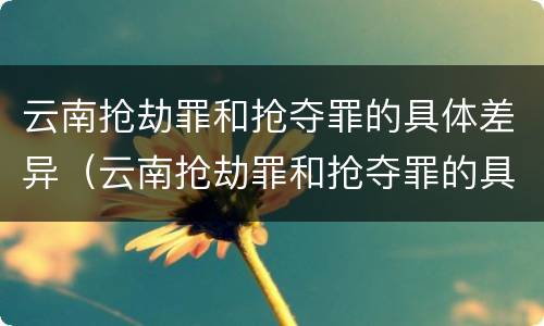 云南抢劫罪和抢夺罪的具体差异（云南抢劫罪和抢夺罪的具体差异是）