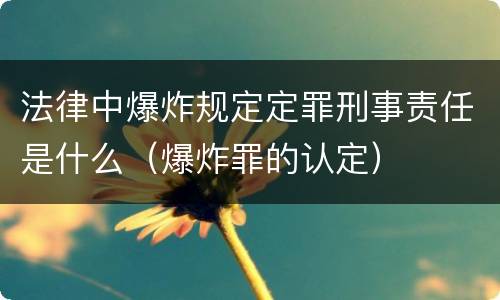 法律中爆炸规定定罪刑事责任是什么（爆炸罪的认定）