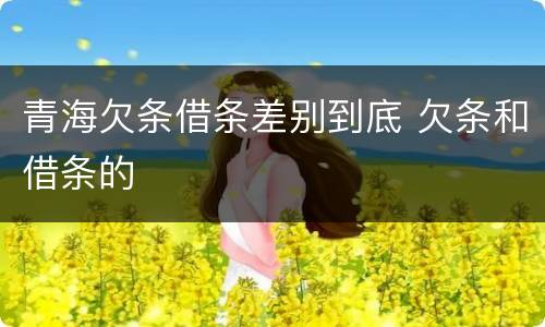 青海欠条借条差别到底 欠条和借条的