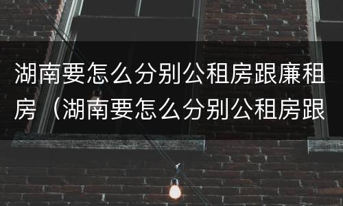 湖南要怎么分别公租房跟廉租房（湖南要怎么分别公租房跟廉租房的区别）