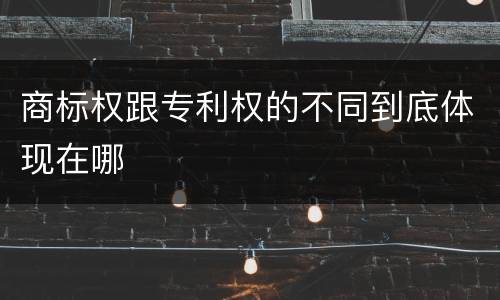 商标权跟专利权的不同到底体现在哪